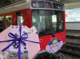 ６月中旬から７月中旬まで見頃を迎える、箱根登山鉄道の紫陽花。今年も「あじさい電車」が走り、「あじさい電車弁当」が販売されました。クリックしてください。