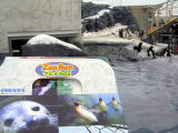 旭山動物園をモチーフにした旭川駅「Ｚｏｏ Ｂｅｎ グルメＢｏｘ」８４０円。ぜひ動物園に持ち込んで食べたい駅弁です。クリックしてください。