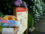 ２００７年６月限定の箱根湯本＆強羅駅弁「あじさいちらし寿司」。７月１日になってもなぜか売っていてラッキーにもゲット。クリックして箱根の紫陽花を満喫してください。